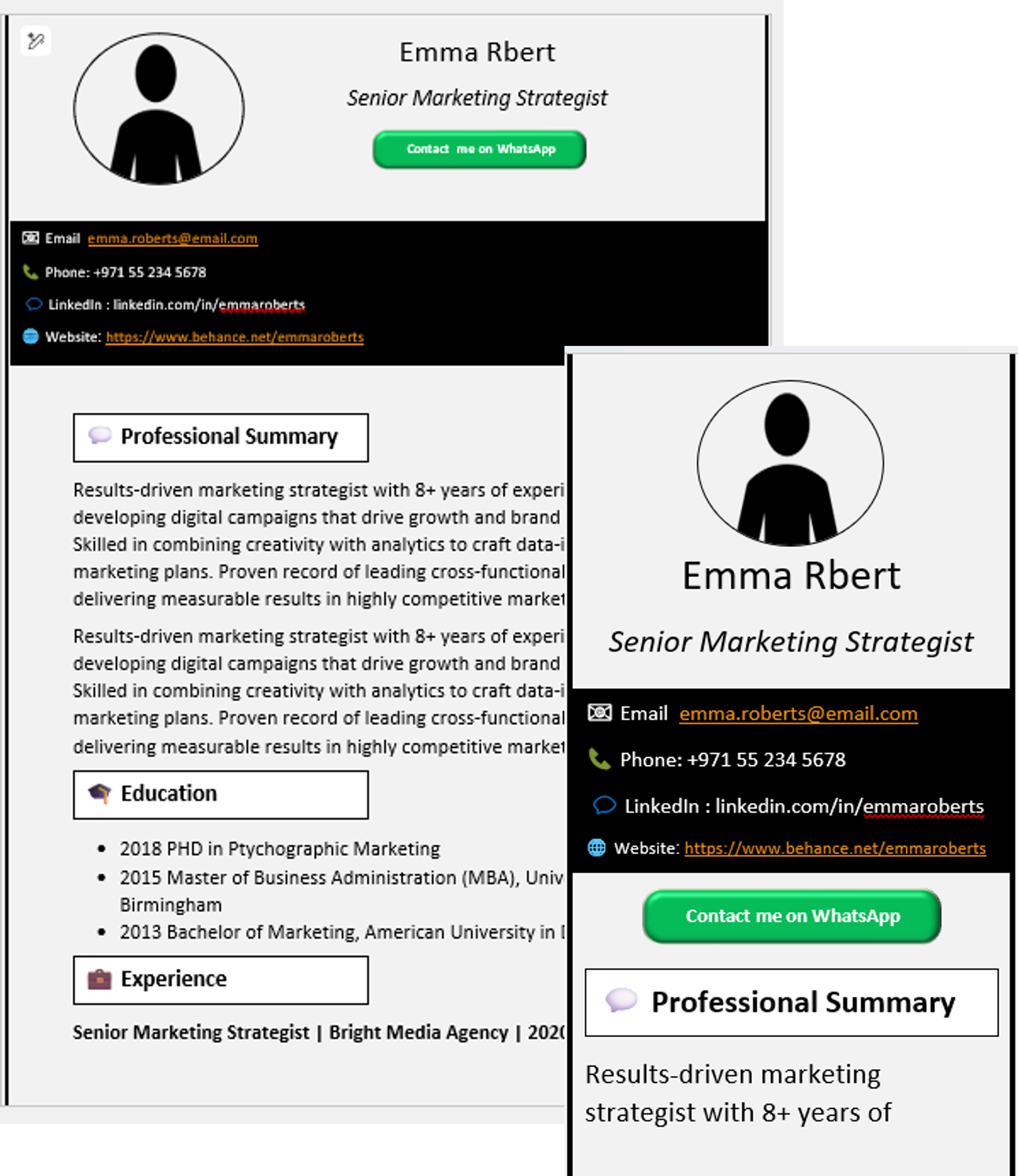 Mobile-Friendly CV Template 1