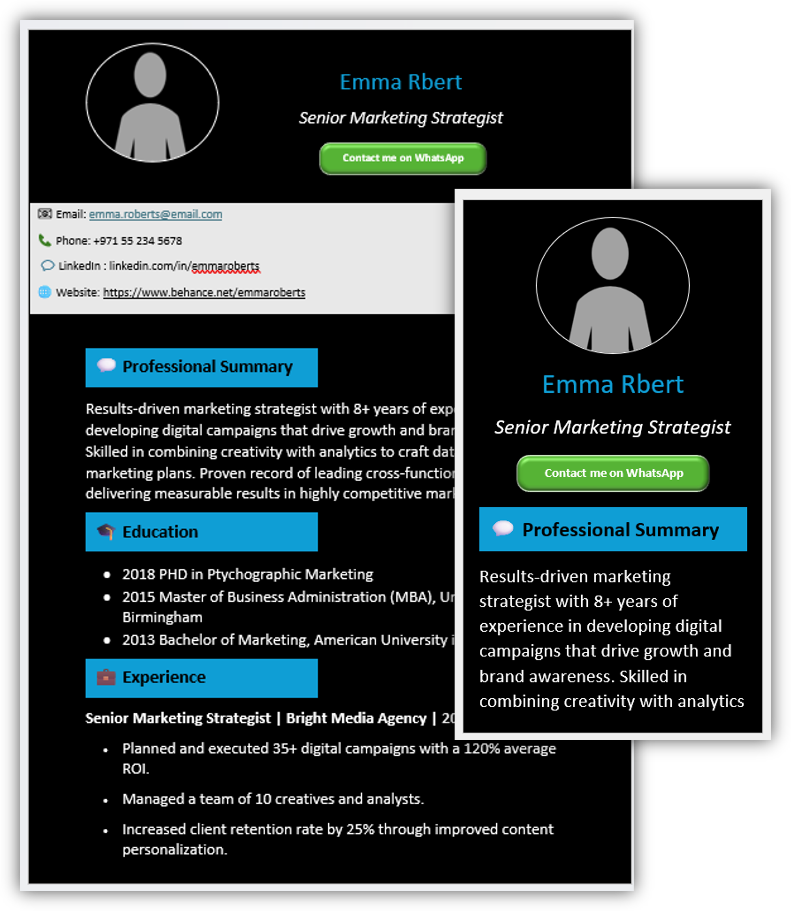 Mobile-Friendly CV Template 3